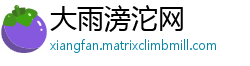 大雨滂沱网